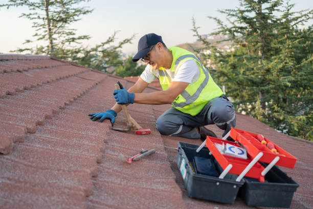 Best Storm Damage Roof Repair  in Dogtown, CA