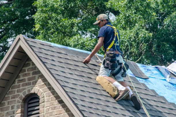 Best Gutter Installation and Roofing  in Dogtown, CA